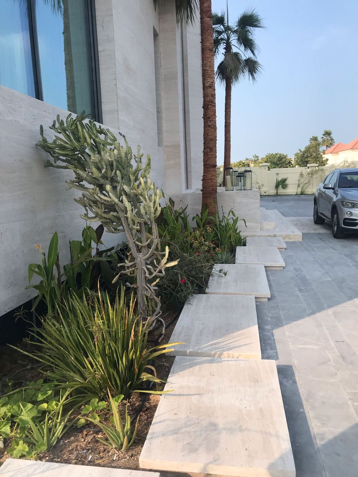 Outdoor pathway or corridor with tall palm trees and bright natural light